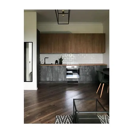 Center With River View 公寓 维尔纽斯